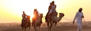 camel riding in dubai desert safari | Camel riding with best desert safari